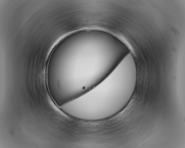 X0000111141100200906301012