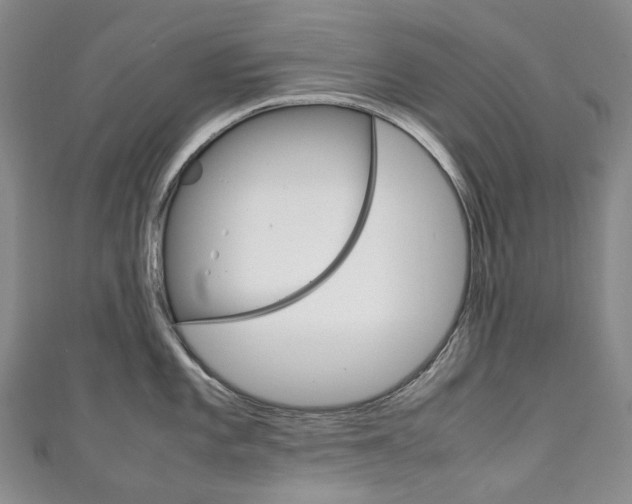 X0000111141101200906301012