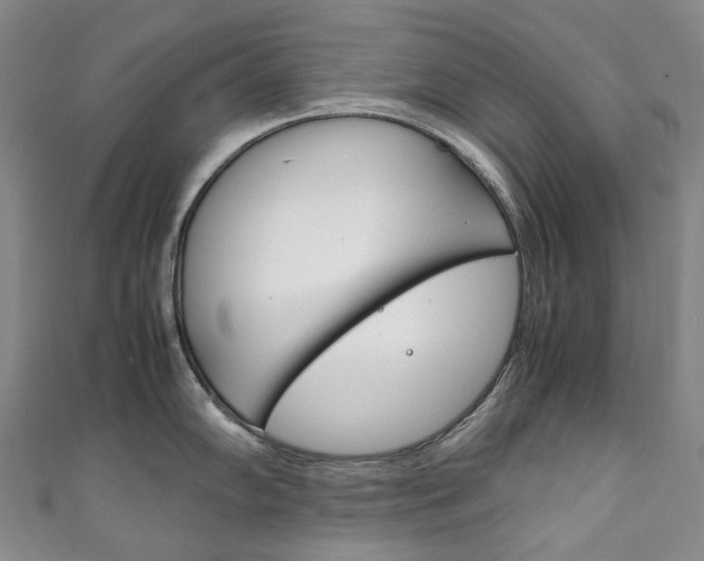 X0000111141102200906301012