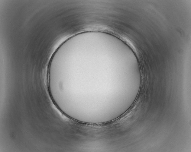 X0000111141103200906301012