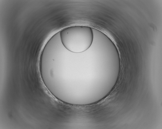 X0000111141104200906301012