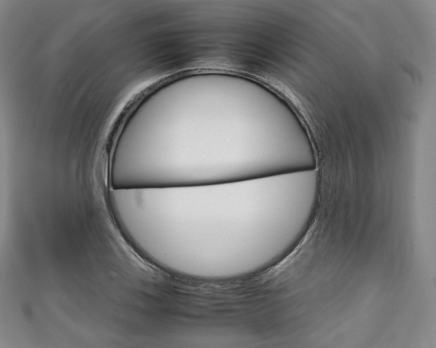 X0000111141123200906301011