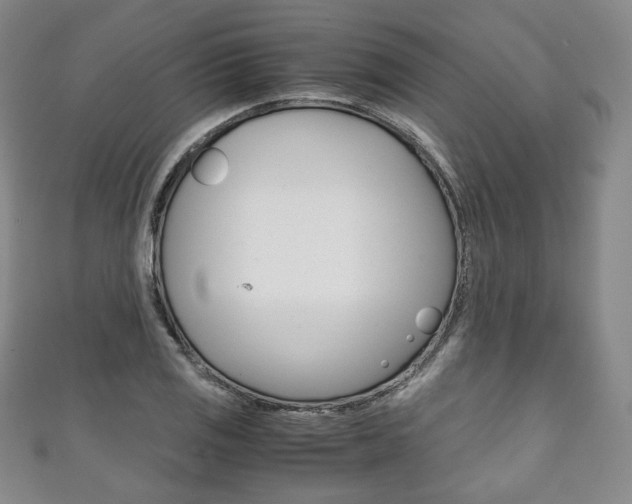 X0000111141125200906301012
