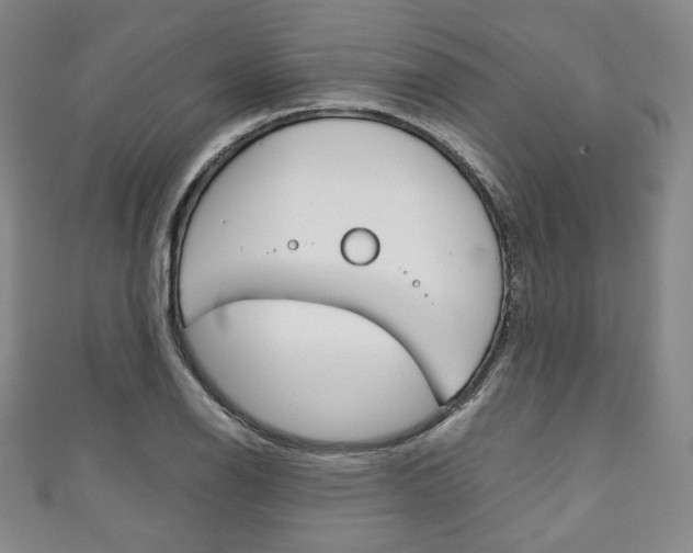 X0000111141126200906301012