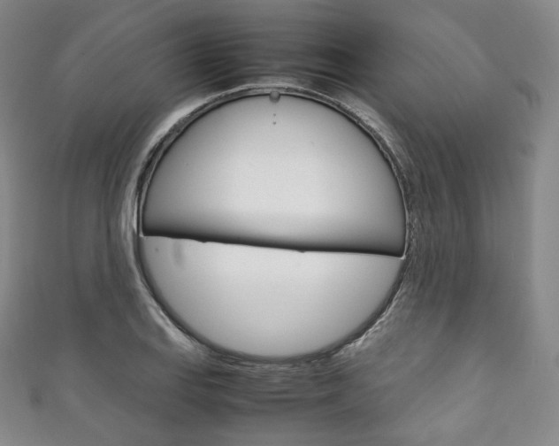 X0000111141127200906301012