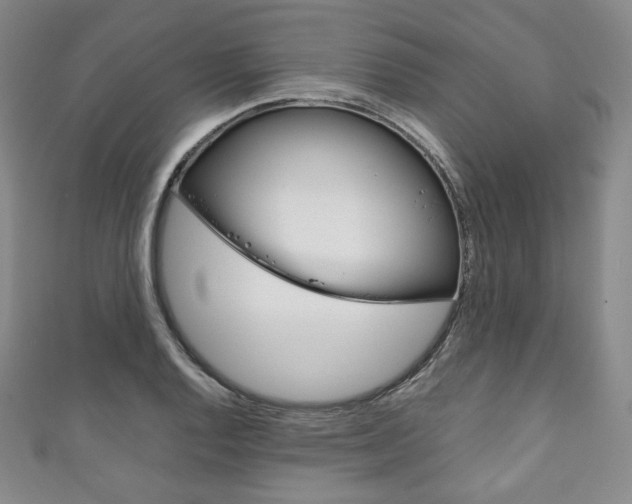 X0000111141128200906301012