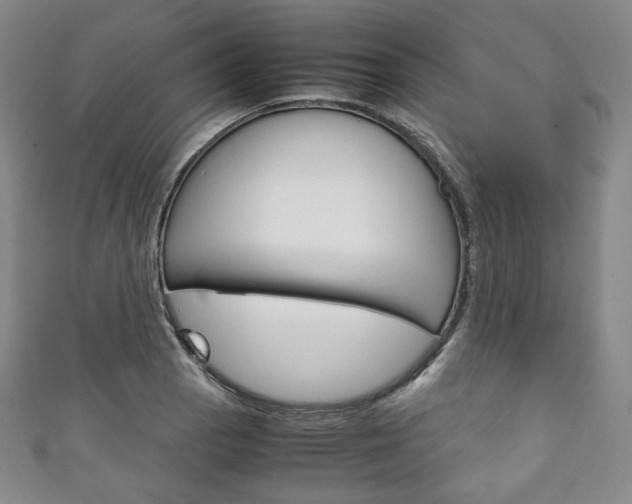 X0000111141129200906301012