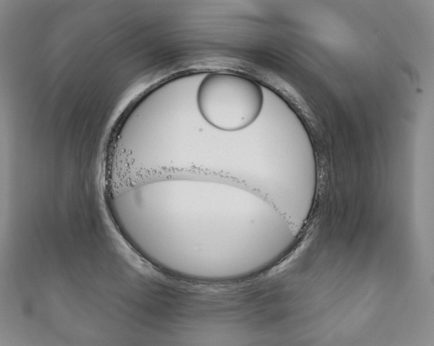 X0000111141130200906301012