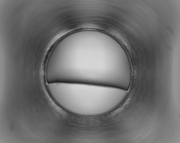X0000111141133200906301012