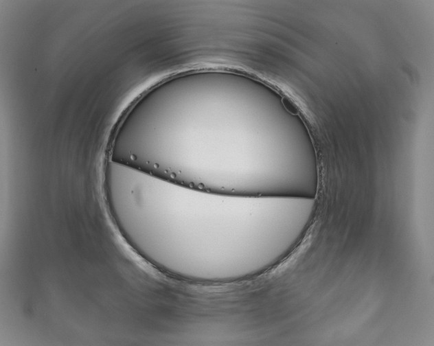 X0000111141134200906301012