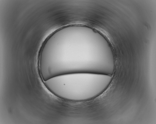 X0000111141135200906301012