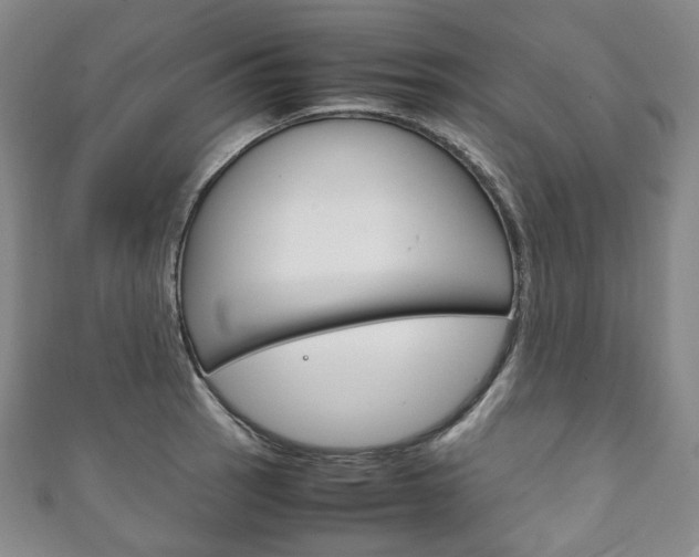 X0000111141137200906301012