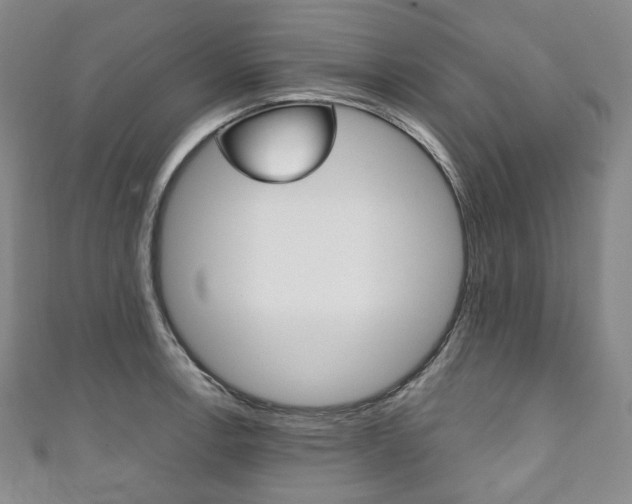 X0000111141138200906301012