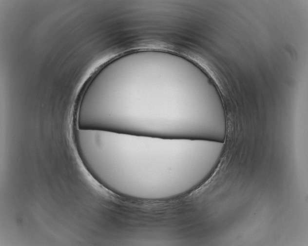 X0000111141139200906301012