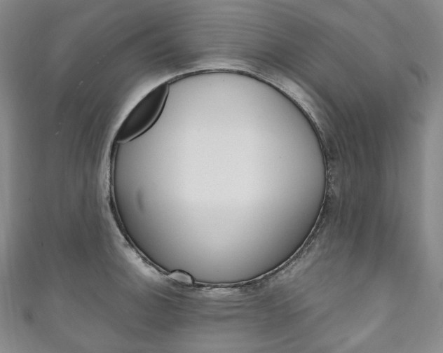 X0000111141140200906301012