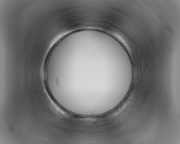 X0000111141141200906301012