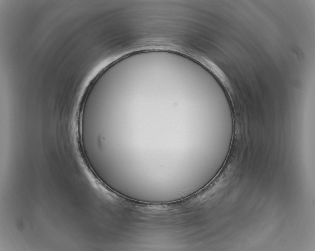 X0000111141144200906301012