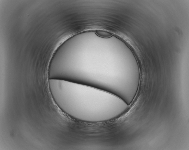 X0000111141145200906301012