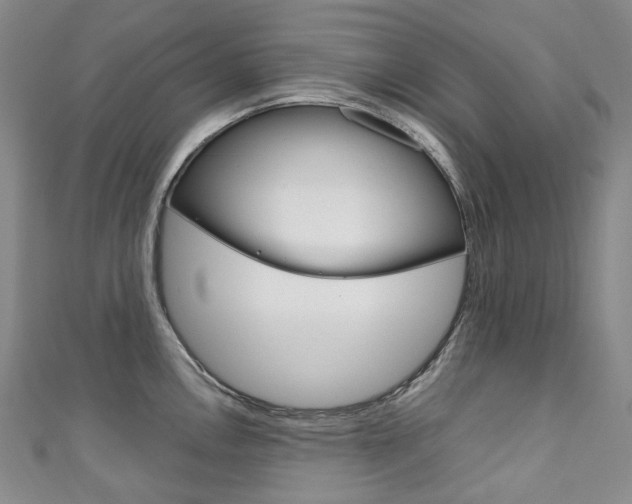 X0000111141146200906301012