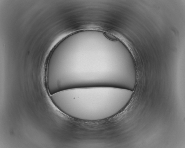 X0000111141147200906301012
