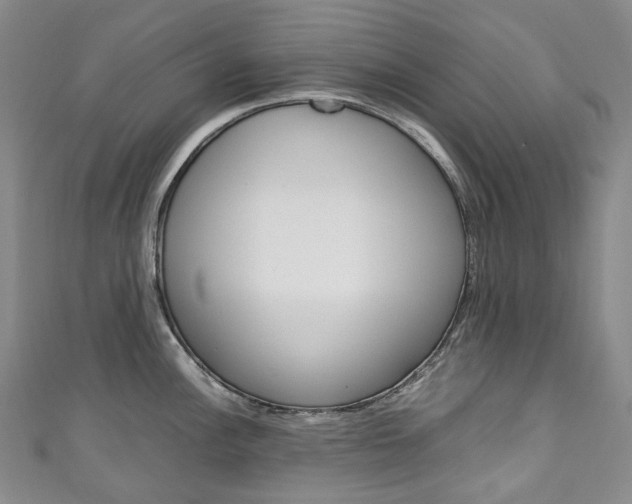 X0000111141148200906301012