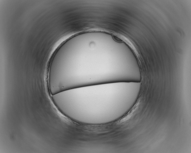 X0000111141149200906301012