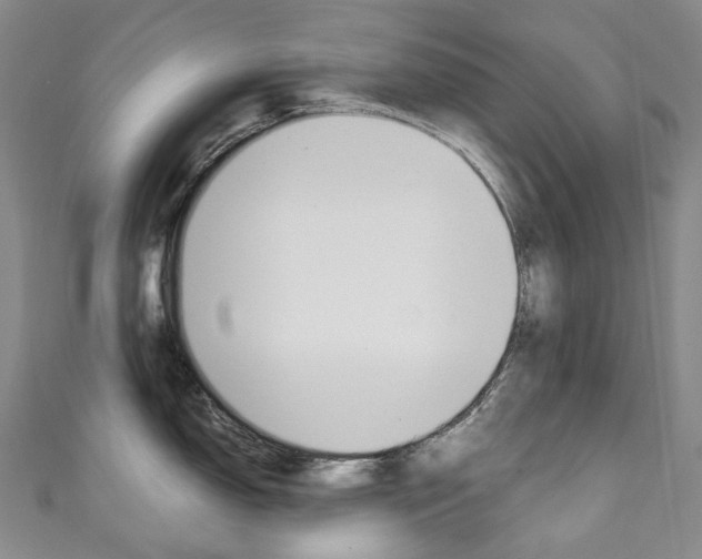 X0000111141150200906301012