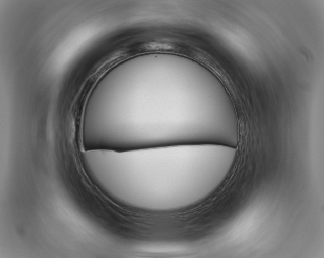 X0000111141151200906301012