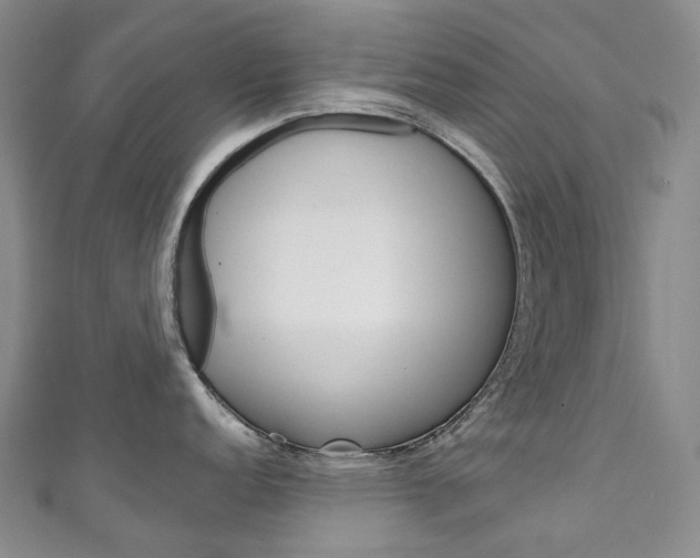 X0000111141152200906301012