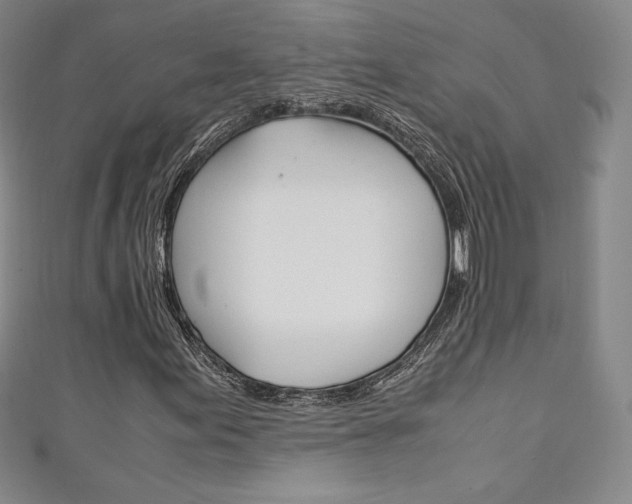 X0000111141155200906301011