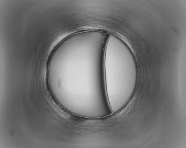 X0000111141179200906301011