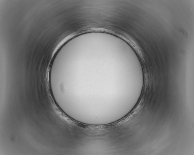 X0000111141198200906301010