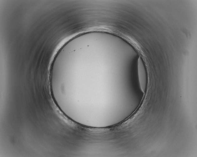 X0000111141200200906301010