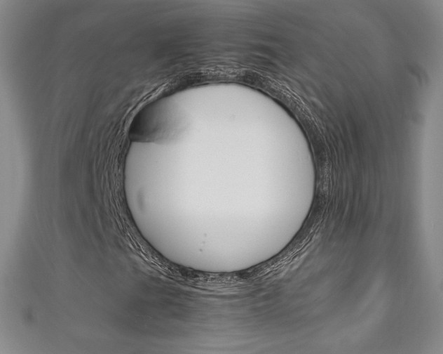 X0000111141201200906301010