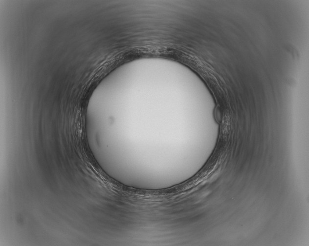 X0000111141202200906301010