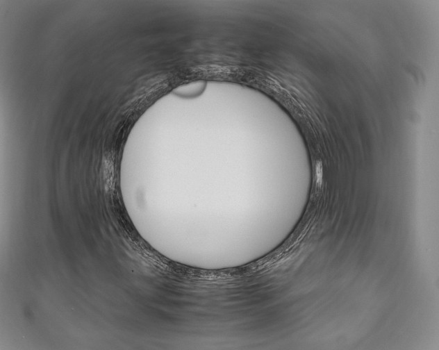 X0000111141203200906301010