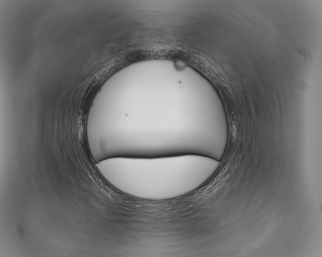 X0000111141204200906301010
