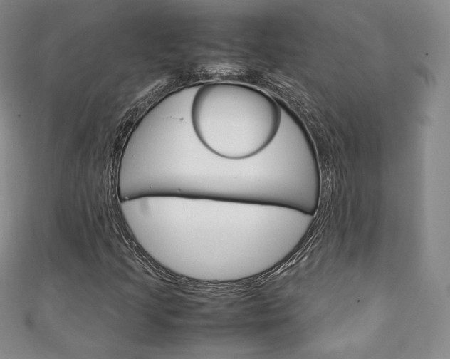 X0000111141205200906301010