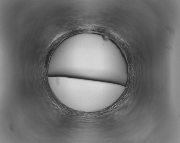 X0000111141206200906301010