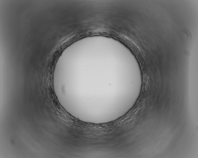 X0000111141207200906301010
