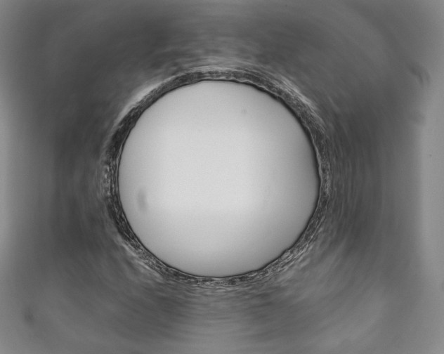X0000111141208200906301010