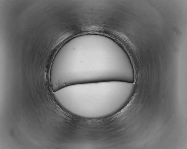 X0000111141209200906301010