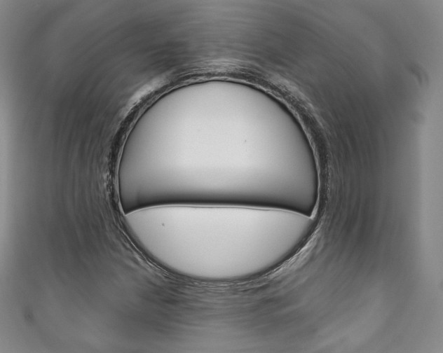 X0000111141210200906301010