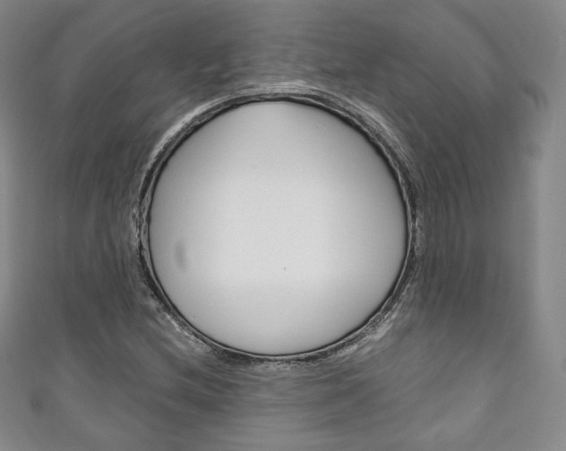 X0000111141212200906301010