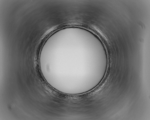 X0000111141213200906301010