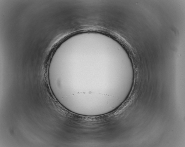 X0000111141215200906301010