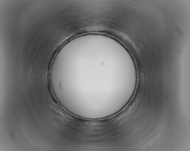 X0000111141217200906301010