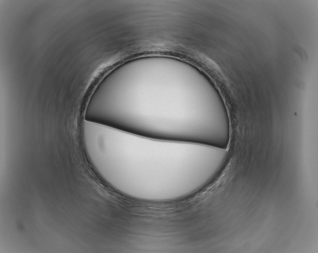 X0000111141218200906301010