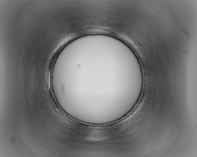X0000111141219200906301010