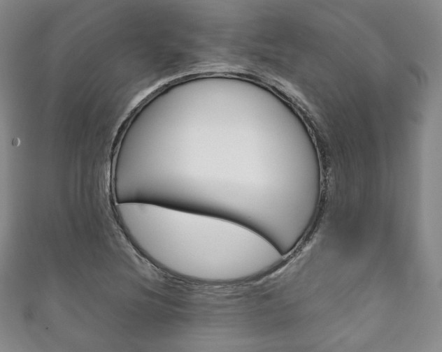 X0000111141220200906301010